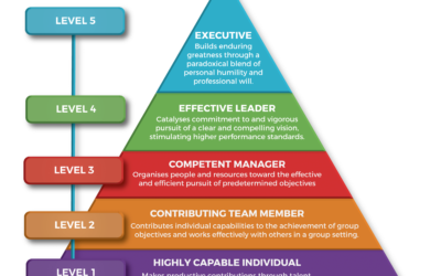 What is the Leadership Ladder?